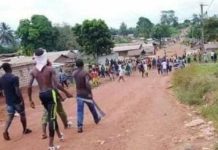 Zéalé, un agriculteur perd la vie après une attaque d’abeilles dans son champ de café Zéalé, un agriculteur perd la vie après une attaque d'abeilles dans son champ de café