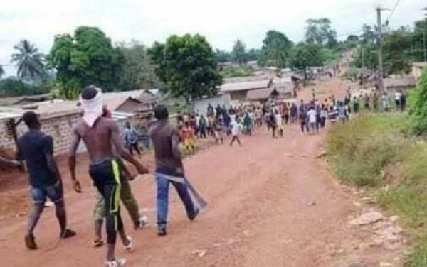 Zéalé, un agriculteur perd la vie après une attaque d’abeilles dans son champ de café Zéalé, un agriculteur perd la vie après une attaque d'abeilles dans son champ de café