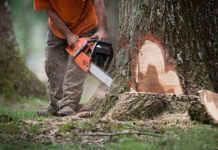 Tragédie à la Mé Un Scieur Trouve la Mort Tragédie à la Mé Un Scieur Trouve la Mort