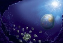 Origine de Luca, Ancêtre des Êtres Vivants Origine de Luca, Ancêtre des Êtres Vivants