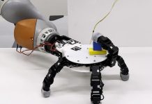 Main Robotique Surpasse Habileté Humaine Main Robotique Surpasse Habileté Humaine