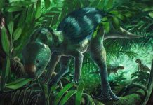 Un Dinosaure Avec Une Mâchoire Étrange Un Dinosaure Avec Une Mâchoire Étrange