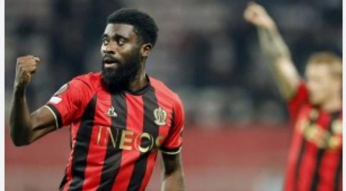 L’Éléphant Boga Raconte Son Calvaire À Nice L'Éléphant Boga Raconte Son Calvaire À Nice