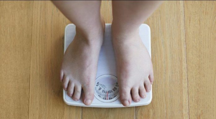 Efficacité du Jeûne Intermittent pour Perte de Poids Efficacité du Jeûne Intermittent pour Perte de Poids