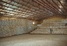 Projet de 90 millions $ pour réduire pertes post-récolte Projet de 90 millions $ pour réduire pertes post-récolte