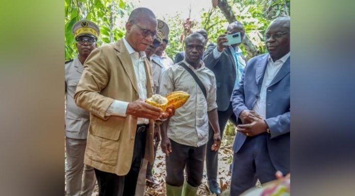 Bruno Koné Écoute les Producteurs de Cacao à Yakassé-Attobrou Bruno Koné Écoute les Producteurs de Cacao à Yakassé-Attobrou