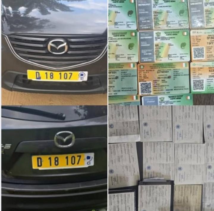 Interpellation d'un individu avec faux documents et immatriculation Interpellation d'un individu avec faux documents et immatriculation