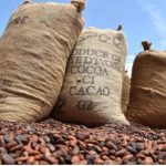 Côte d’Ivoire-Brésil Suspension des Achats de Cacao Côte d'Ivoire-Brésil Suspension des Achats de Cacao