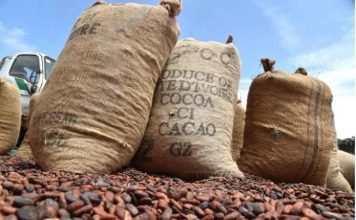 Côte d’Ivoire-Brésil Suspension des Achats de Cacao Côte d'Ivoire-Brésil Suspension des Achats de Cacao