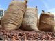 Côte d’Ivoire-Brésil Suspension des Achats de Cacao Côte d'Ivoire-Brésil Suspension des Achats de Cacao
