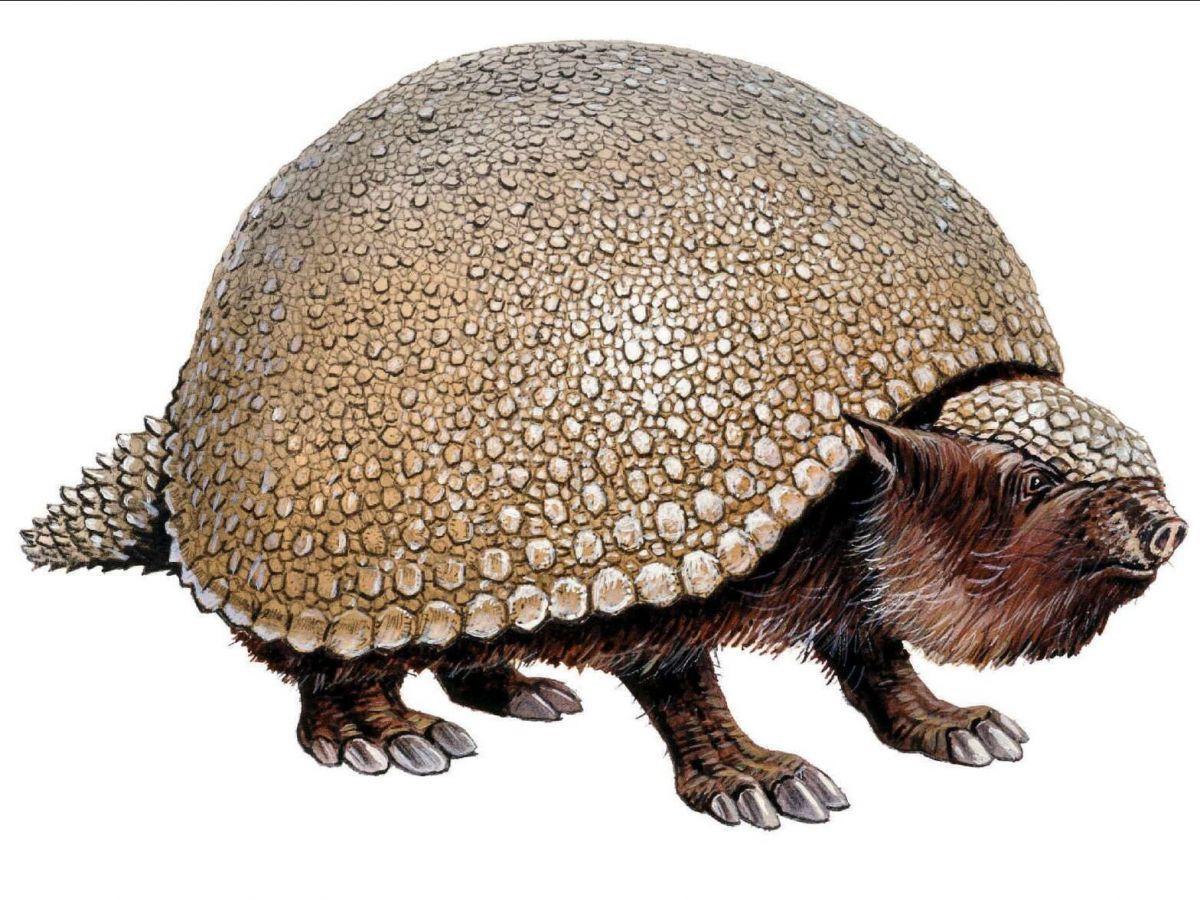 Bio-Inspiration: Paléontologie Comme Source D'Innovation Bio-Inspiration: Paléontologie Comme Source D'Innovation