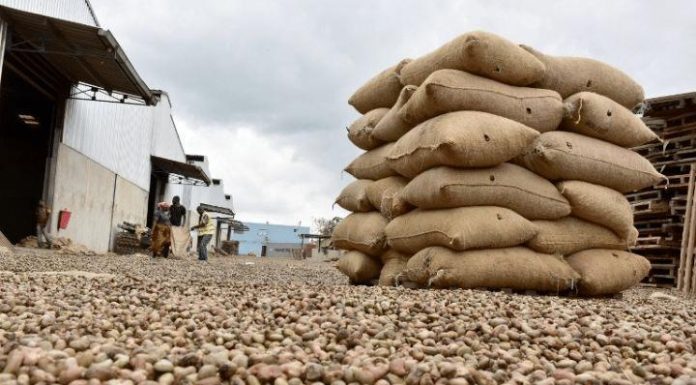 Côte D’Ivoire Fixe Prix Planchers Anacarde 2026 Côte D'Ivoire Fixe Prix Planchers Anacarde 2026