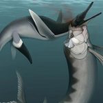 Bataille Épique Dans Les Mers Du Crétacé Bataille Épique Dans Les Mers Du Crétacé