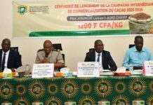 Lancement de la Campagne Cacao 2025-2026 à San Pedro Lancement de la Campagne Cacao 2025-2026 à San Pedro