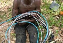 Arrestation d’un présumé saboteur du réseau d’eau Arrestation d'un présumé saboteur du réseau d'eau