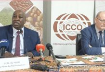 Cacao Les Pays Producteurs S’Organisent à Abidjan Cacao Les Pays Producteurs S'Organisent à Abidjan