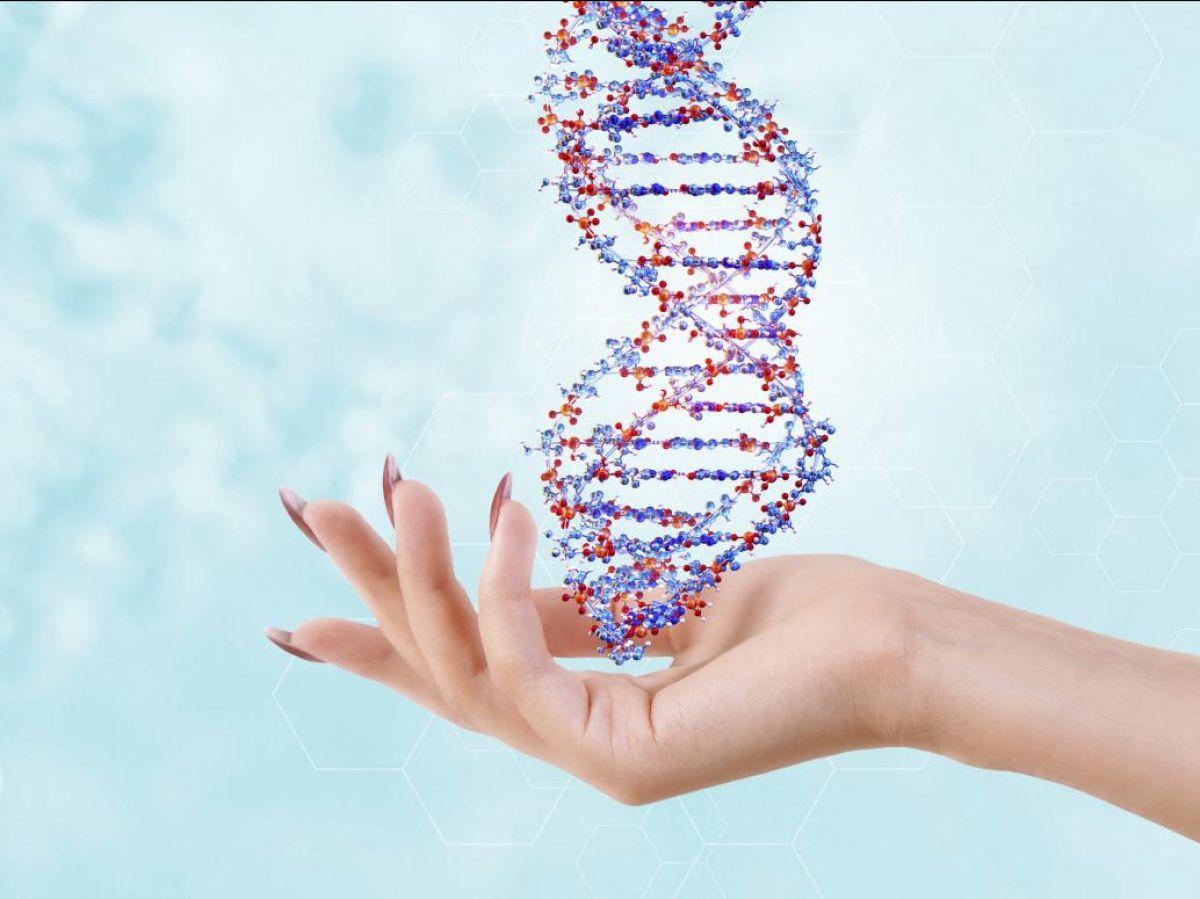 IA Créant Des Génomes Inexistants Dans La Nature IA Créant Des Génomes Inexistants Dans La Nature