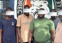 Cinq Suspects Arrêtés Pour Vol De Cacao À San-Pedro Cinq Suspects Arrêtés Pour Vol De Cacao À San-Pedro