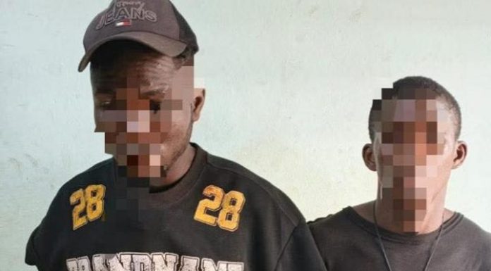 Réseau de cambrioleurs démantelé à Issia Réseau de cambrioleurs démantelé à Issia