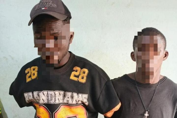 Réseau de cambrioleurs démantelé à Issia Réseau de cambrioleurs démantelé à Issia