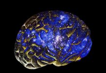 Comment les neurotechnologies décryptent nos pensées Comment les neurotechnologies décryptent nos pensées