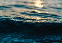 Circulation Océanique Pourrait Diminuer de Moitié d’Ici 2100 Circulation Océanique Pourrait Diminuer de Moitié d'Ici 2100