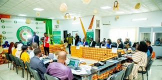 Climat et égalité, la CEDEAO engage l’Afrique de l’Ouest vers une transition verte inclusive Climat et égalité, la CEDEAO engage l'Afrique de l'Ouest vers une transition verte inclusive