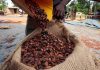 La Côte D’Ivoire Prévoit Plus de Cacao La Côte D’Ivoire Prévoit Plus de Cacao