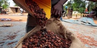 La Côte D’Ivoire Prévoit Plus de Cacao La Côte D’Ivoire Prévoit Plus de Cacao
