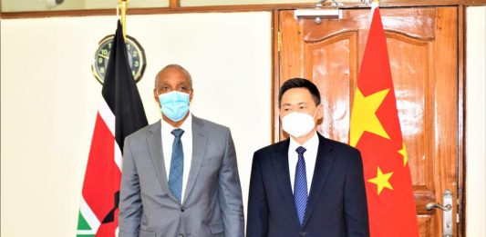 La 1ère conférence de paix dans la Corne de l'Afrique « parrainée par la Chine » ?