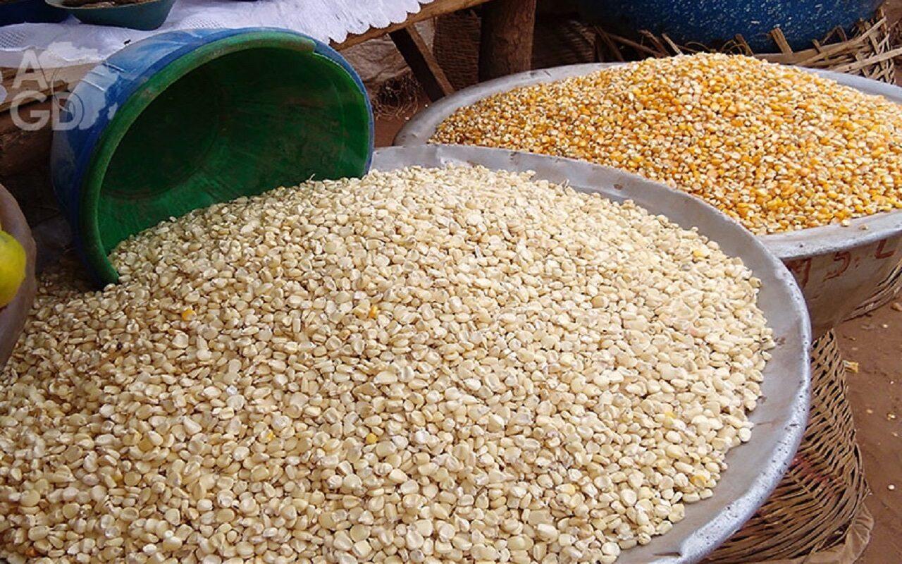 L’insécurité alimentaire en Afrique de l’Ouest nécessite une réponse adaptée au climat dans un contexte de crises L’insécurité alimentaire en Afrique de l’Ouest nécessite une réponse adaptée au climat dans un contexte de crises