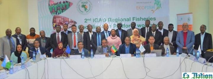 Plateforme de Coordination des Pêches de la région de l’IGAD : Pour mieux aligner les actions de promotion de la pêche durable dans la Corne de l’Afrique Plateforme de Coordination des Pêches de la région de l’IGAD : Pour mieux aligner les actions de promotion de la pêche durable dans la Corne de l’Afrique