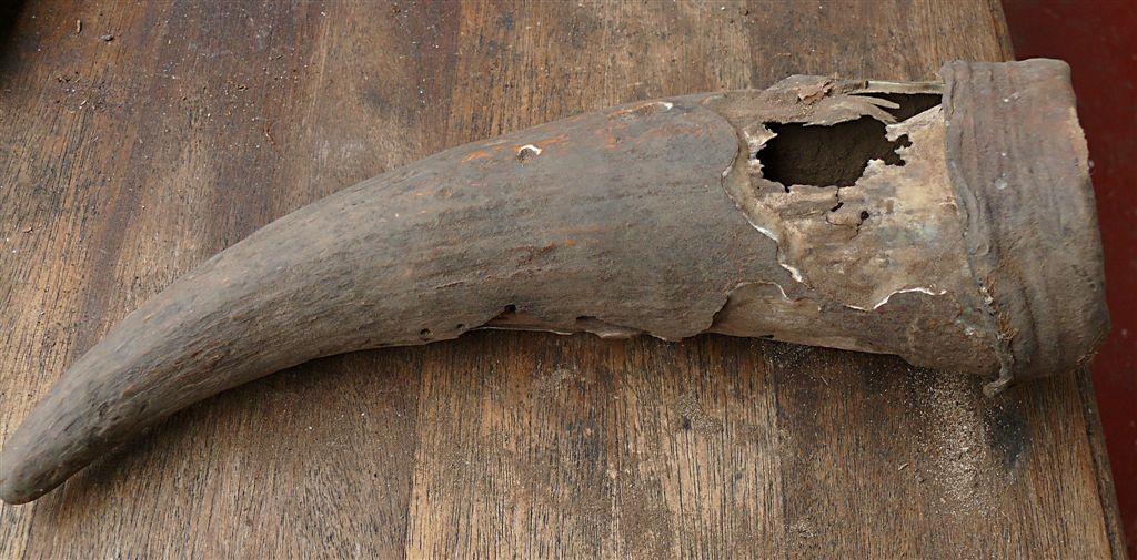 500-year-old horn container discovered in South Africa sheds light on pre-colonial Khoisan medicines 500-year-old horn container discovered in South Africa sheds light on pre-colonial Khoisan medicines