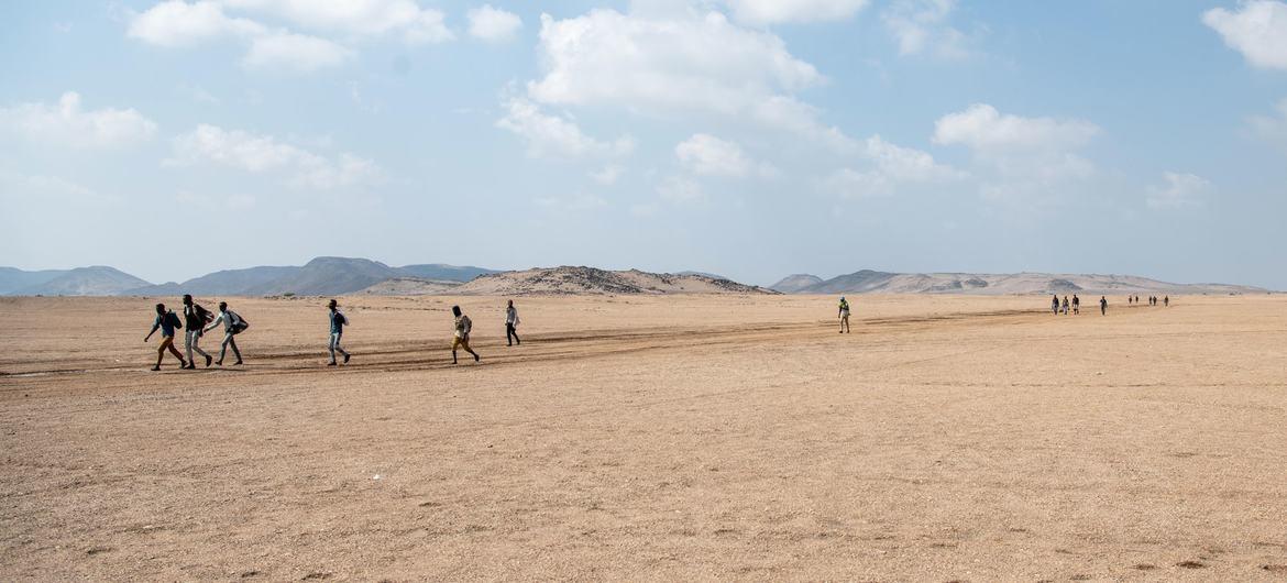 Corne de l’Afrique : l’OIM en quête de 84 millions de dollars pour aider plus d’un million de migrants Corne de l’Afrique : l’OIM en quête de 84 millions de dollars pour aider plus d’un million de migrants