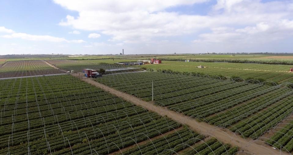 Finance climatique en Afrique : la BAD encourage la mise en place de mécanismes et d’instruments innovants Finance climatique en Afrique : la BAD encourage la mise en place de mécanismes et d’instruments innovants