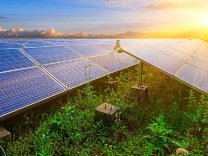 L’énergie solaire est-elle la plus respectueuse des sols ? L’énergie solaire est-elle la plus respectueuse des sols ?