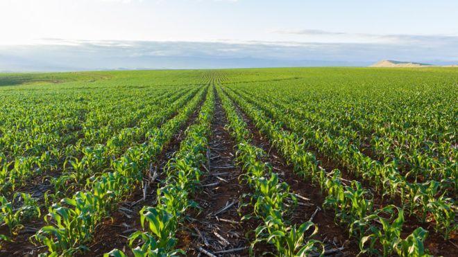 Afrique : le continent reste résilient face aux nouveaux chocs, mais les financements doivent être accélérés Afrique : le continent reste résilient face aux nouveaux chocs, mais les financements doivent être accélérés