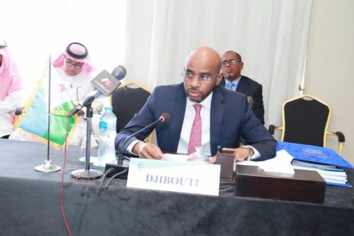 20ème Réunion des ministres de la PERSGA : Après deux années à la tête du PERSGA, Djibouti passe le témoin à l’Egypte 20ème Réunion des ministres de la PERSGA : Après deux années à la tête du PERSGA, Djibouti passe le témoin à l’Egypte