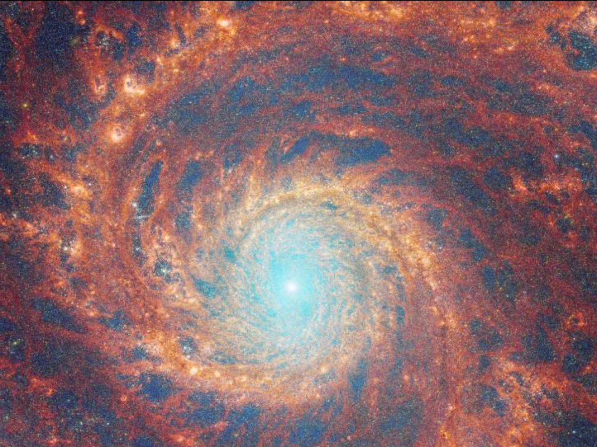 La galaxie du Tourbillon dans l'objectif du James Webb