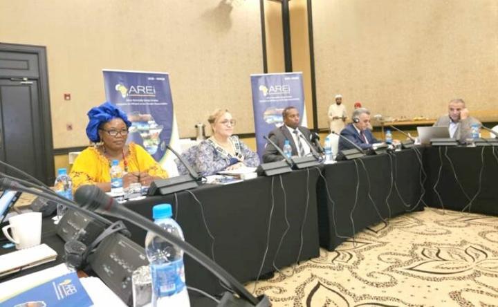 Ouverture à Djibouti de la 5ème Réunion ministérielle de l’Initiative Africaine sur les Energies Renouvelables Ouverture à Djibouti de la 5ème Réunion ministérielle de l’Initiative Africaine sur les Energies Renouvelables