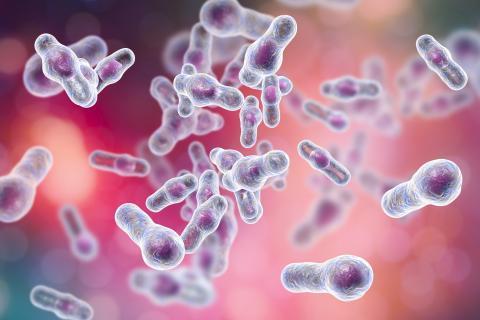 Le microbiote intestinal influe sur les risques et la sévérité de certaines infections virales Le microbiote intestinal influe sur les risques et la sévérité de certaines infections virales