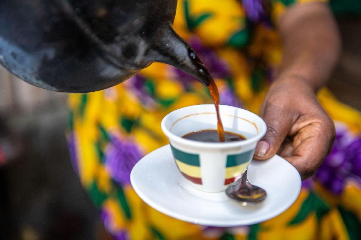 Comment est préparé le café décaféiné ? La boisson est-elle vraiment sans caféine ? Comment est préparé le café décaféiné ? La boisson est-elle vraiment sans caféine ?