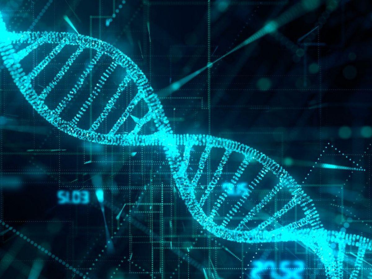 L’ADN, nouveau support de stockage numérique L’ADN, nouveau support de stockage numérique