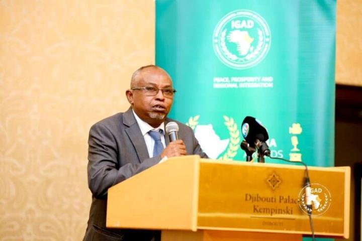 Cérémonie de remise de la première édition des Prix annuels de l’IGAD pour les médias Cérémonie de remise de la première édition des Prix annuels de l’IGAD pour les médias