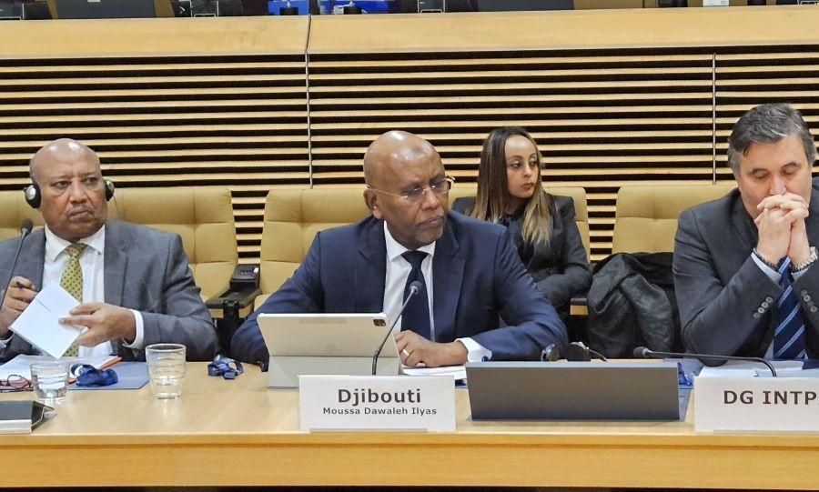 Djibouti représenté par son ministre des Finances au 19e sommet ministériel de l'Initiative pour la Corne de l'Afrique (ICA) à Bruxelles Djibouti représenté par son ministre des Finances au 19e sommet ministériel de l'Initiative pour la Corne de l'Afrique (ICA) à Bruxelles