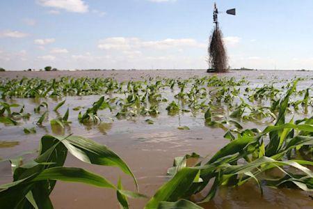 En Afrique, l’énorme potentiel du marché de l’assurance agricole reste largement sous-exploité En Afrique, l’énorme potentiel du marché de l’assurance agricole reste largement sous-exploité