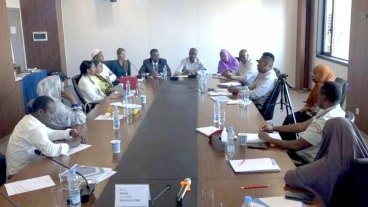 Mise en œuvre de la stratégie de santé mentale en république de Djibouti Mise en œuvre de la stratégie de santé mentale en république de Djibouti