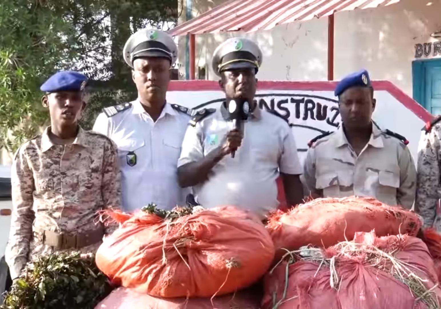 Lutte contre la contrebande : Une importante marchandise de khat interceptée à Holl-Holl Lutte contre la contrebande : Une importante marchandise de khat interceptée à Holl-Holl