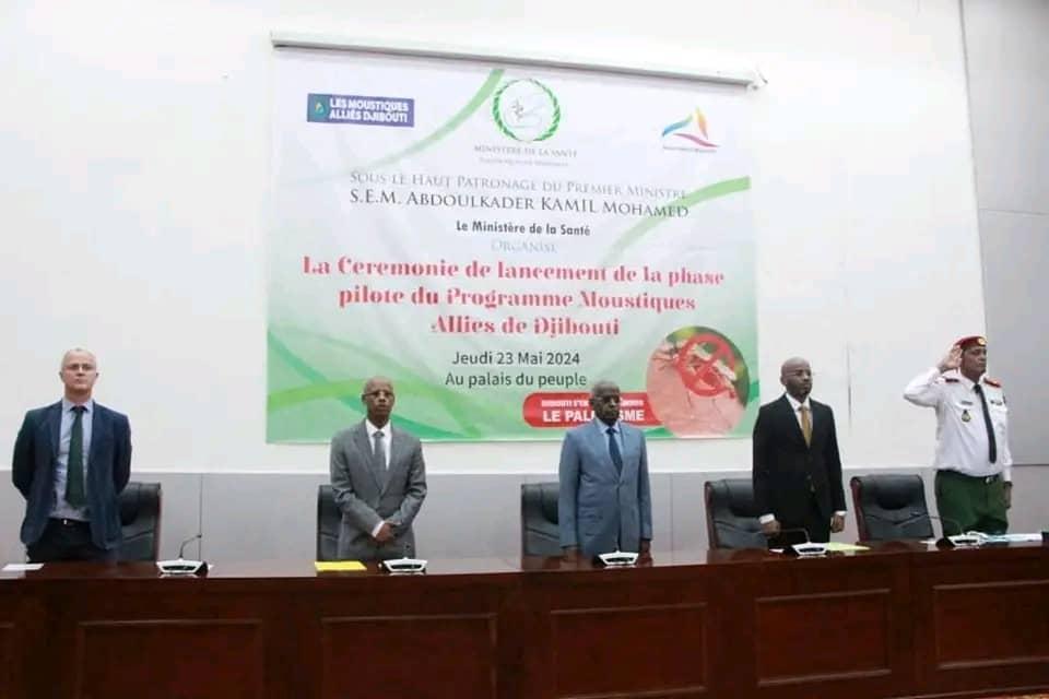 Djibouti lance une offensive historique contre le paludisme avec des moustiques génétiquement modifiés Djibouti lance une offensive historique contre le paludisme avec des moustiques génétiquement modifiés