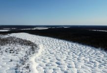Dégel du pergélisol en Sibérie crée des bosses intrigantes Dégel du pergélisol en Sibérie crée des bosses intrigantes